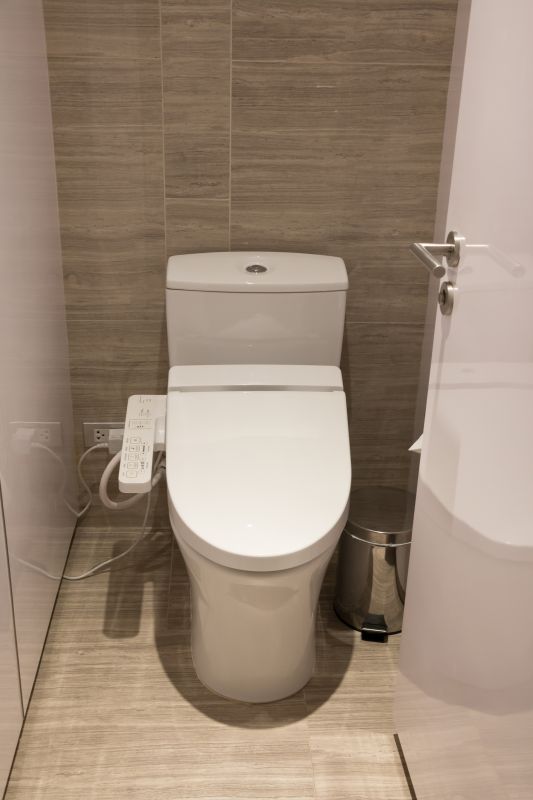 Modern Toilet with Bidet Features