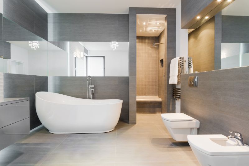 Contemporary Bathroom Upgrade